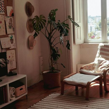 Coimbra Erasmus House - Guest House Luaran gambar