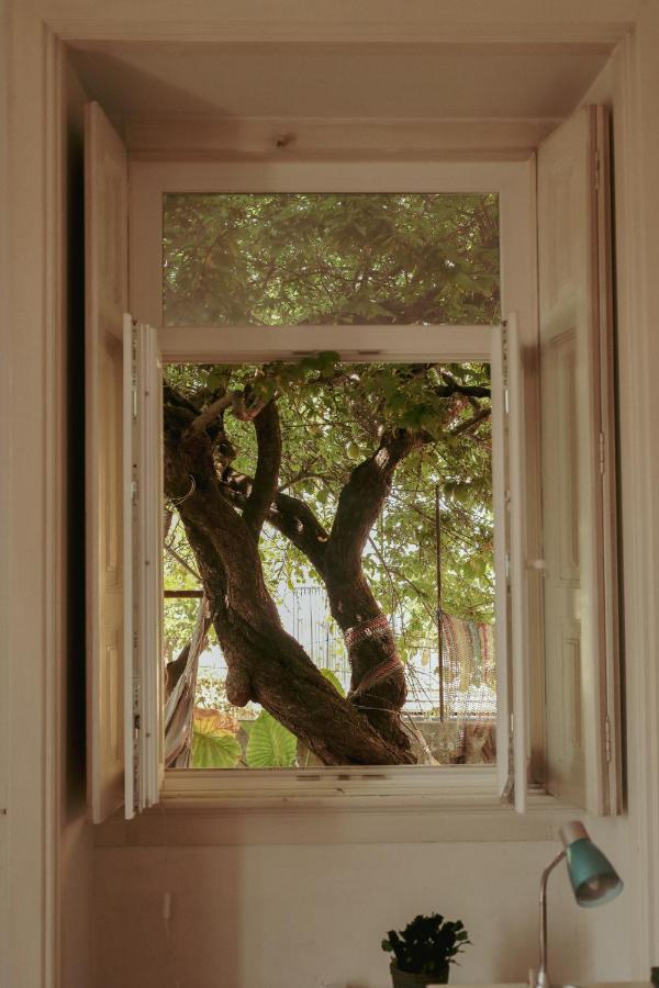 Coimbra Erasmus House - Guest House Luaran gambar